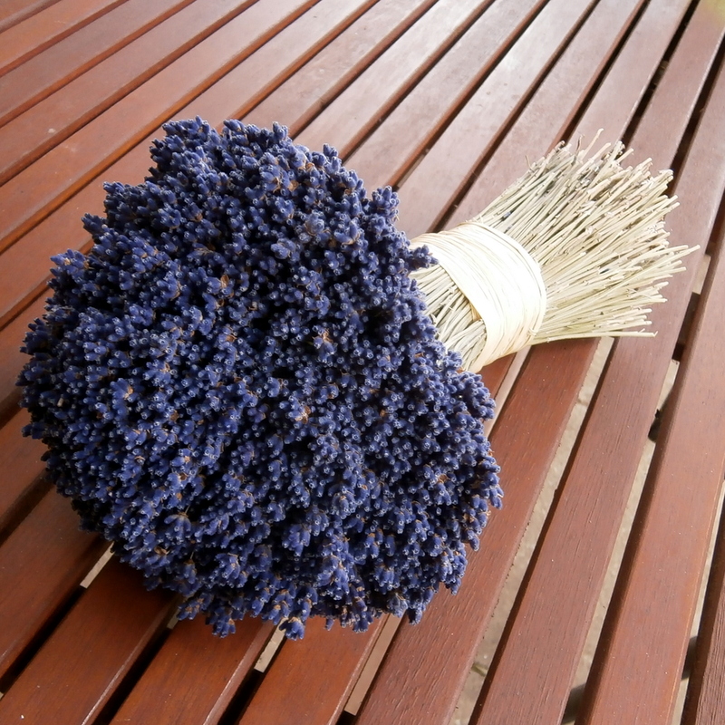 Levandulová romantika