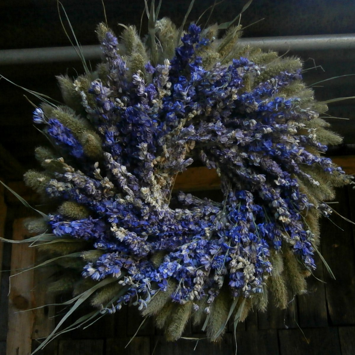 Věnec - Setárie s ostrožkou