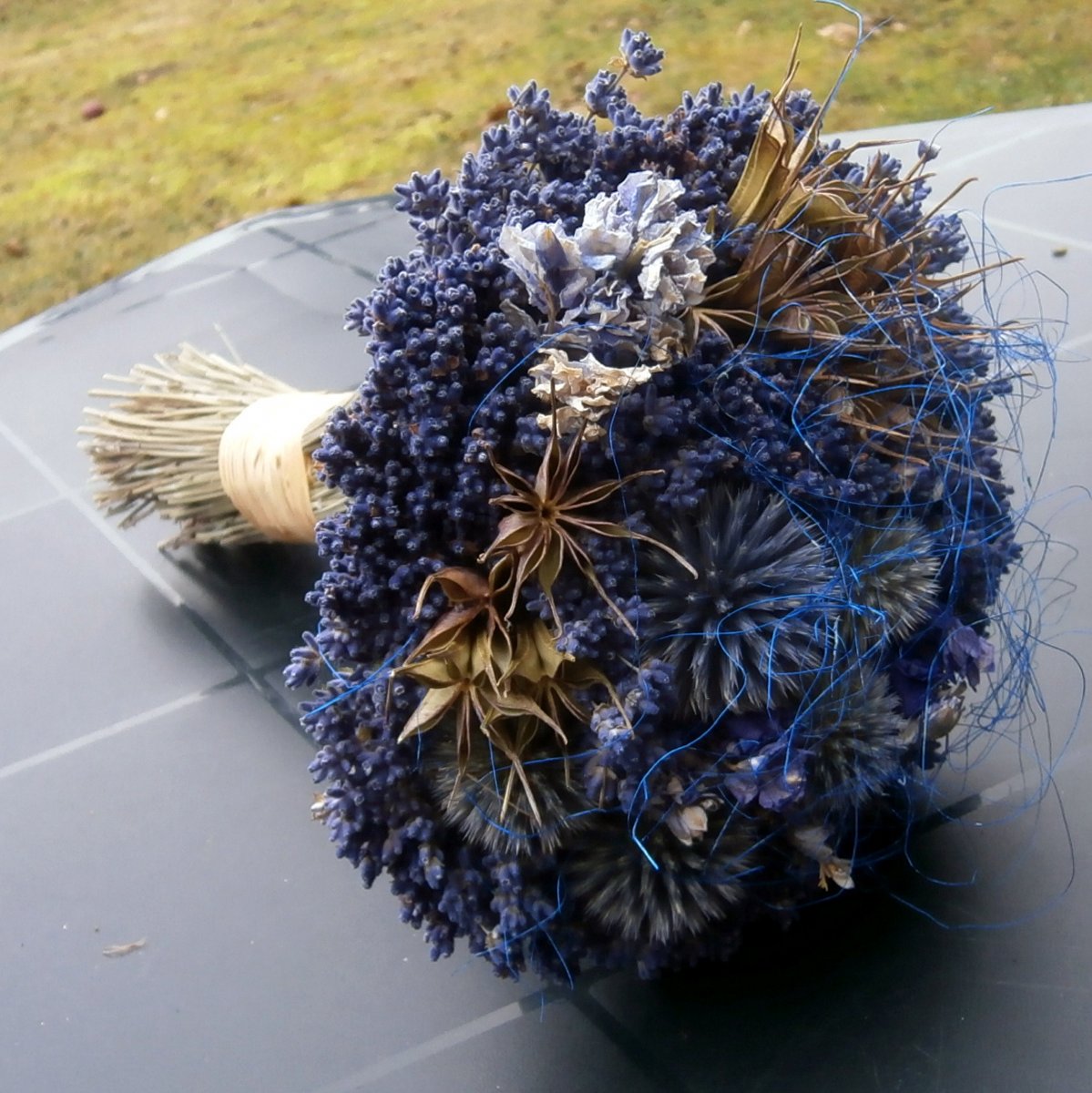 Kytice - Hvězdné nebe