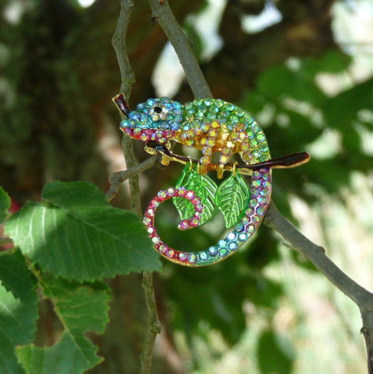 Brož - chameleon
