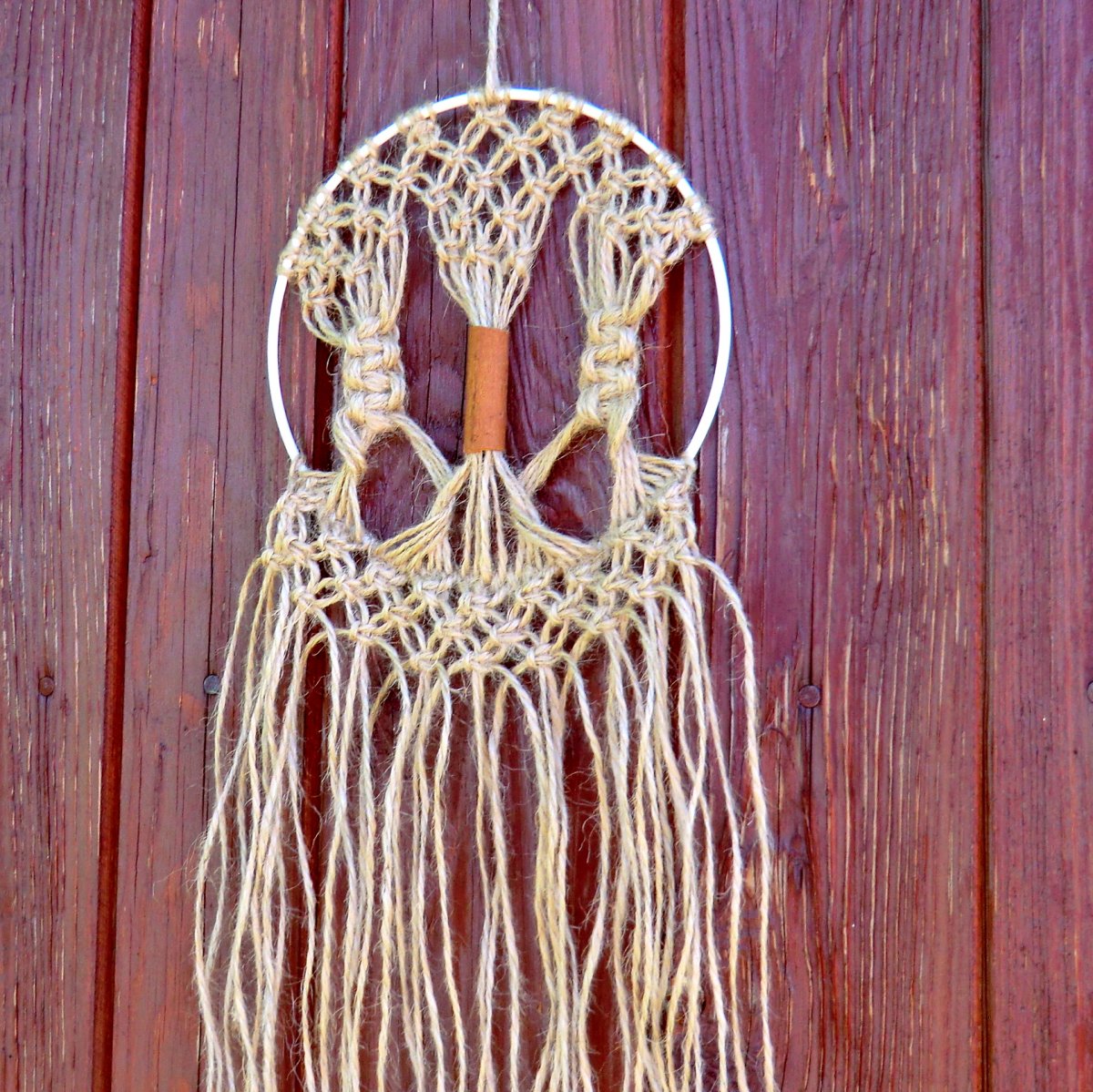 Strom Života - Skořicovník - základní verze Φ 15 cm