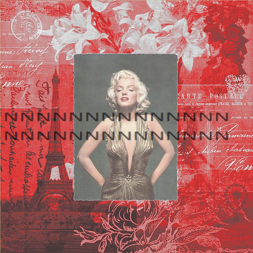 Nažehlovací obrázek V200