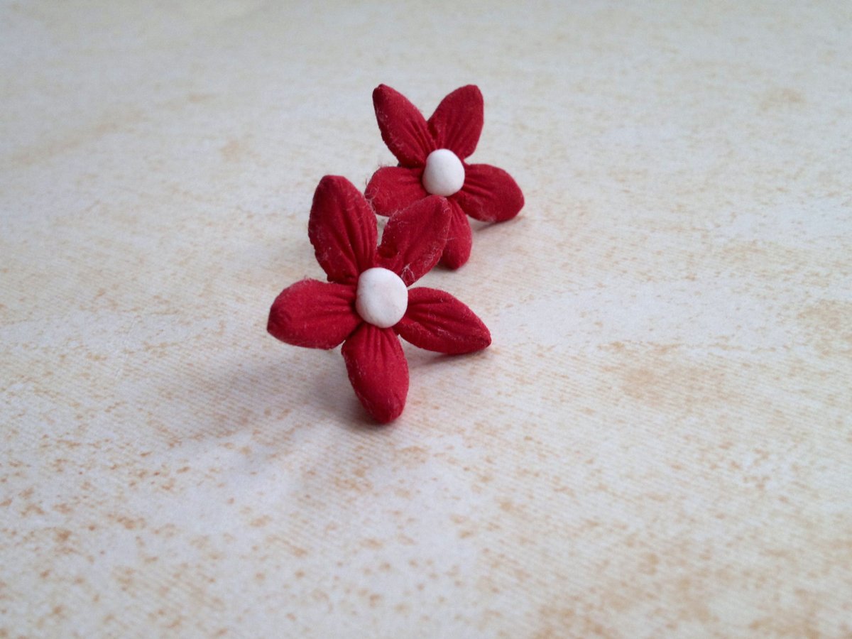 Clay craft náušničky- třešničkové