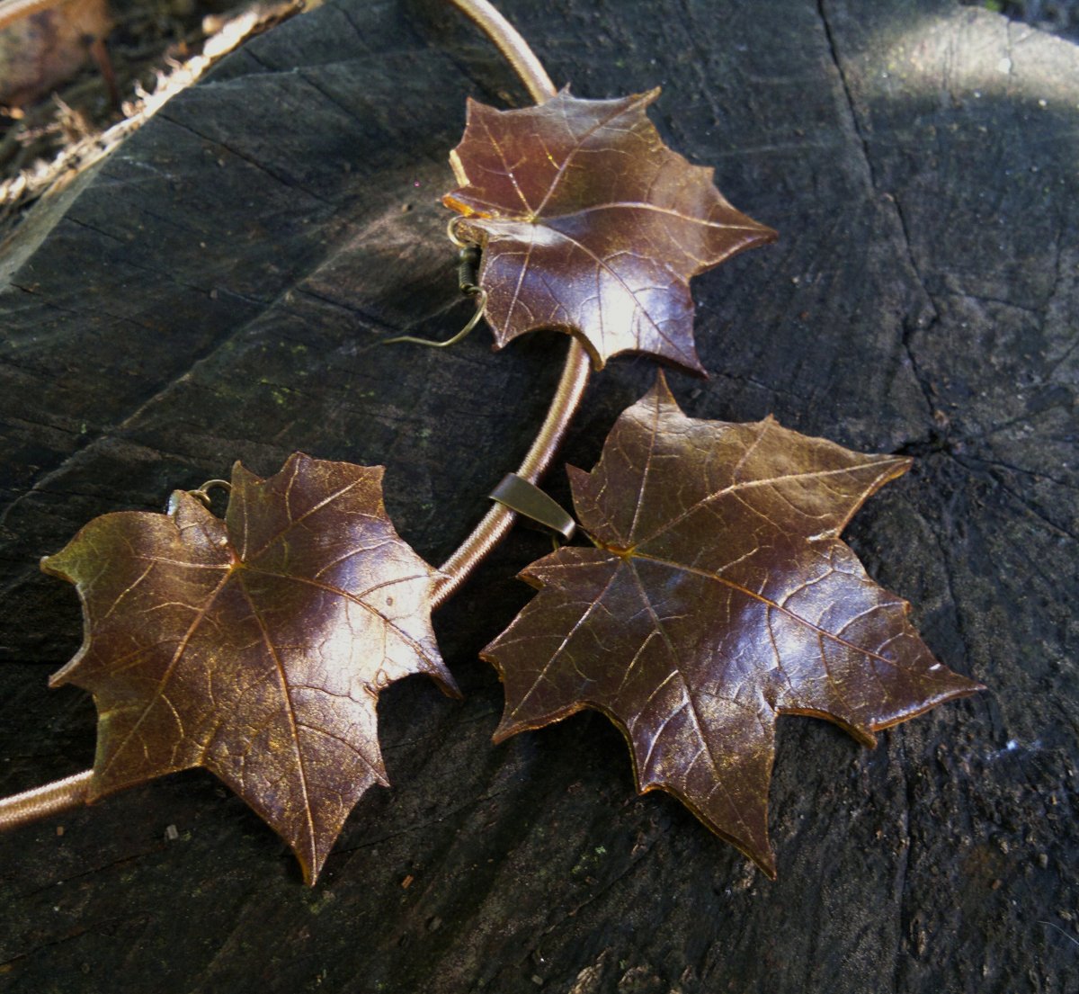 Javůrky...souprava.. Listí zlátne