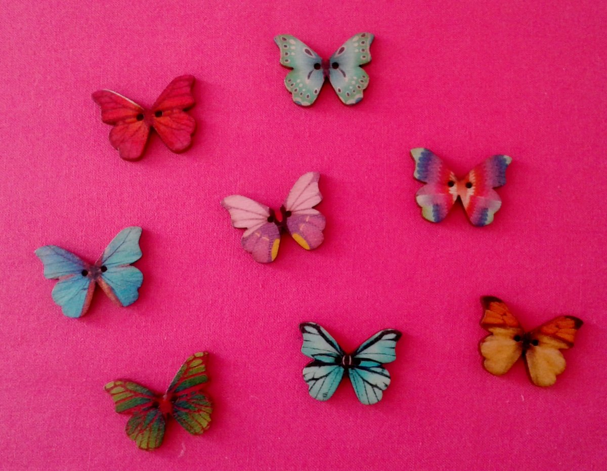 Barevní dřevění motýlci