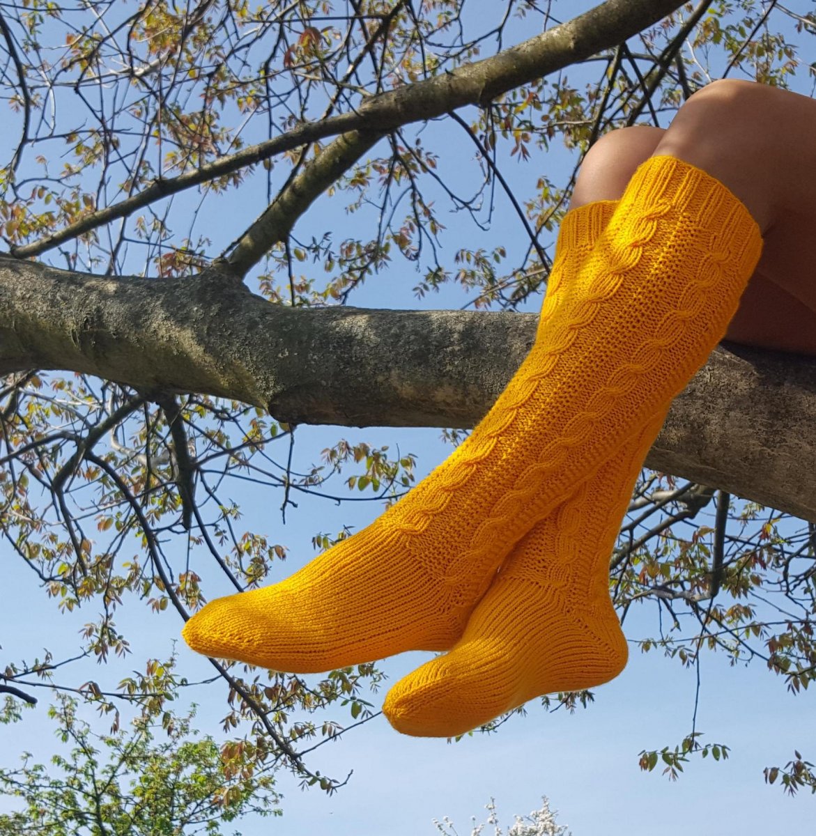 Louka plná pampelišek