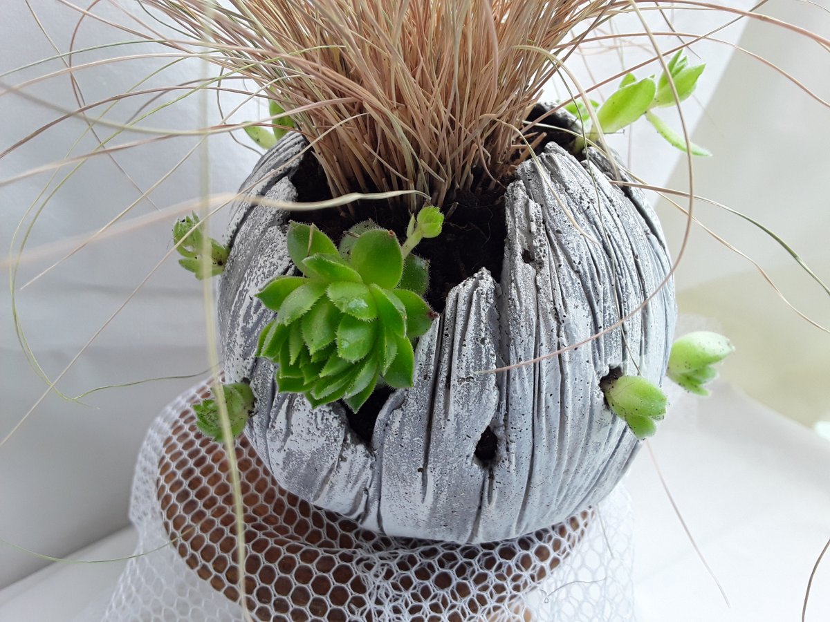 Beton-skořepina s dírkami