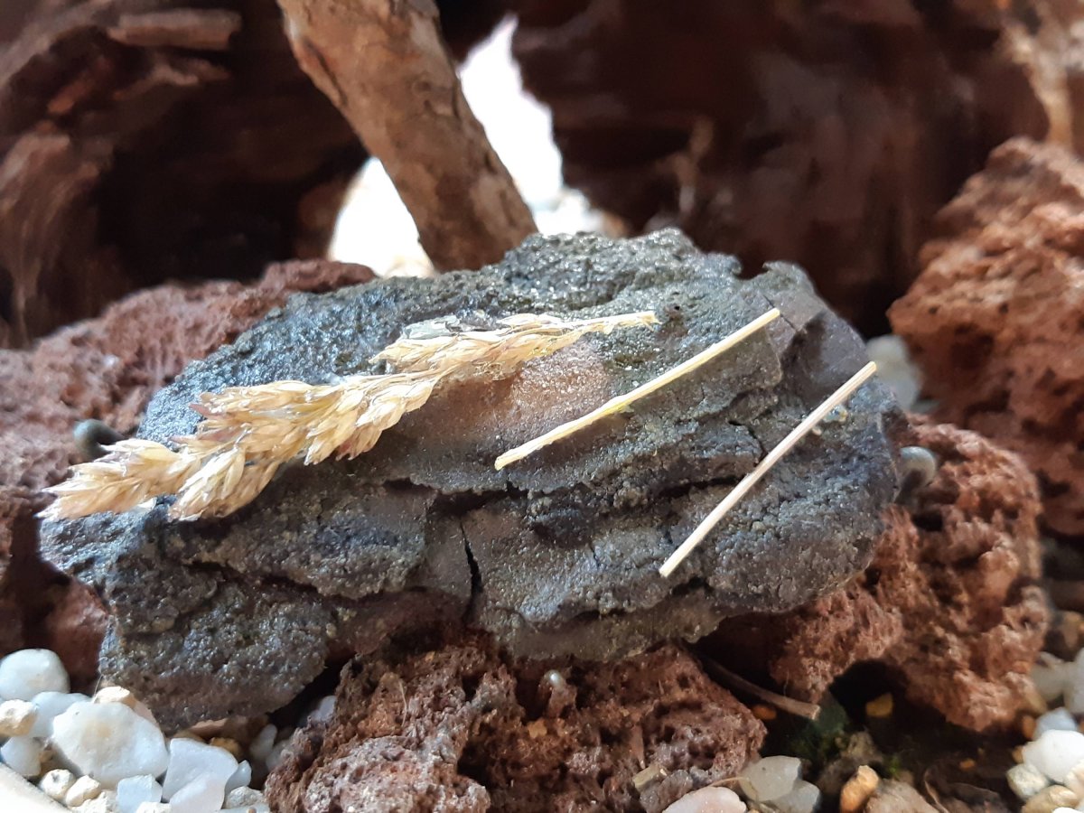 Brož z kůry s trávou