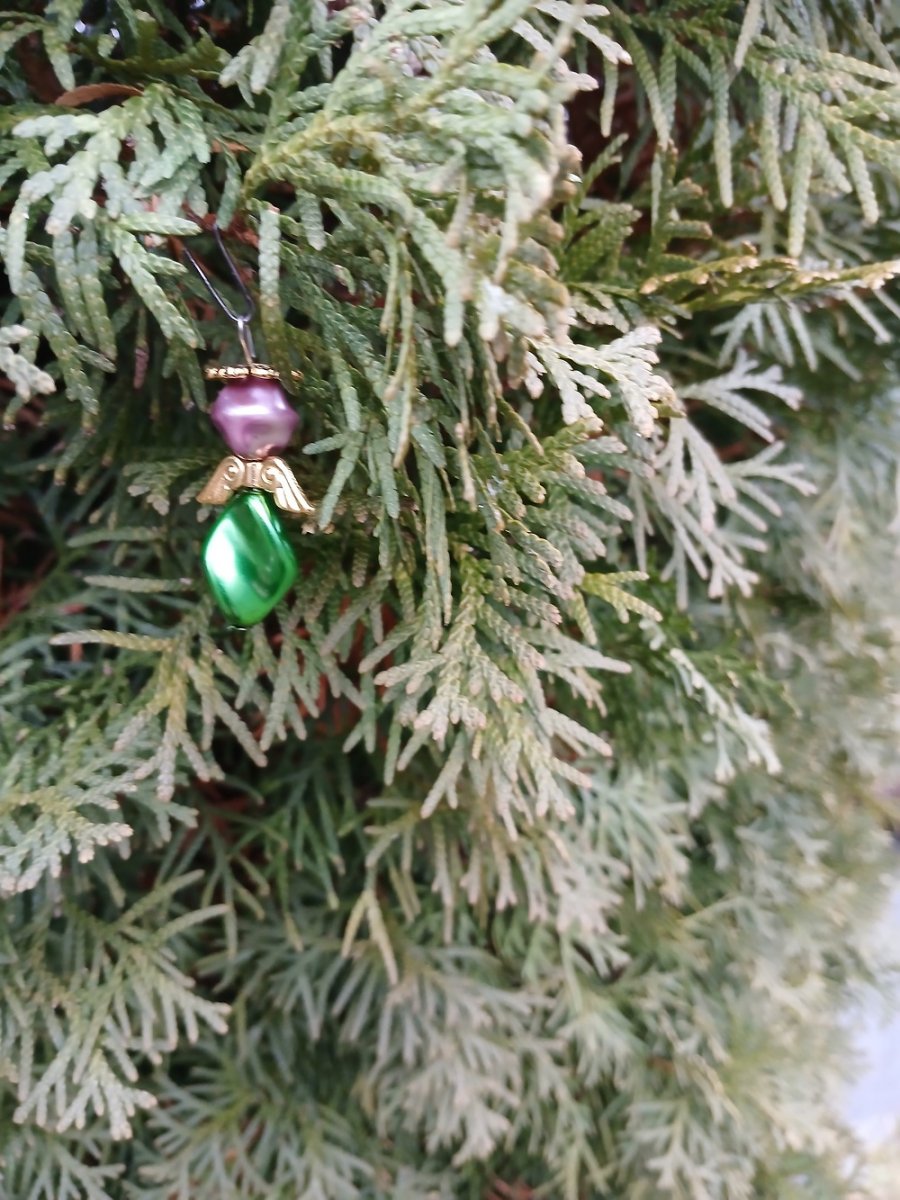 andílek fialovozelený