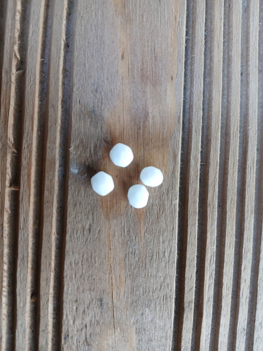 skleněný  korálek o průměru 6 mm bílý