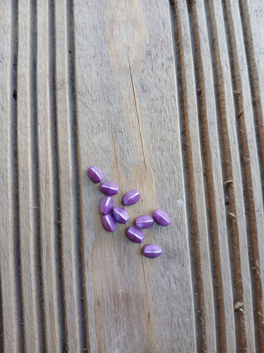 korálek mačkaný, pohanka 5x3 mm - fialová