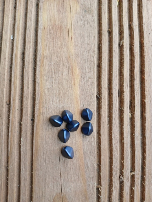 korálek mačkaný, pohanka 7 mm - modrá