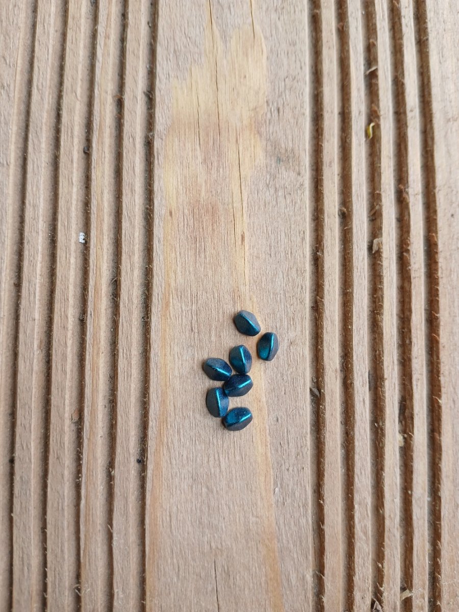 korálek mačkaný, pohanka 5x3 mm - tm. zelená