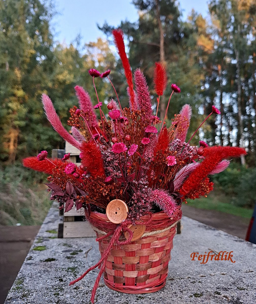 košíček s margaretkami a setárií..