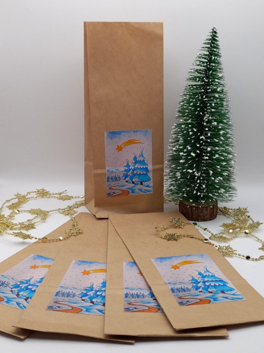 Papírový eco sáček s motivem Zimní krajiny