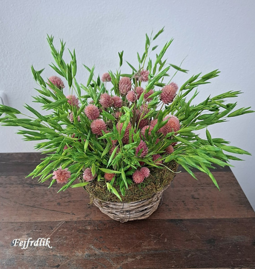 na políčku v jetelíčku :)