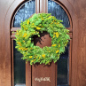 přírodní nejen jarní méďánek ;-)..