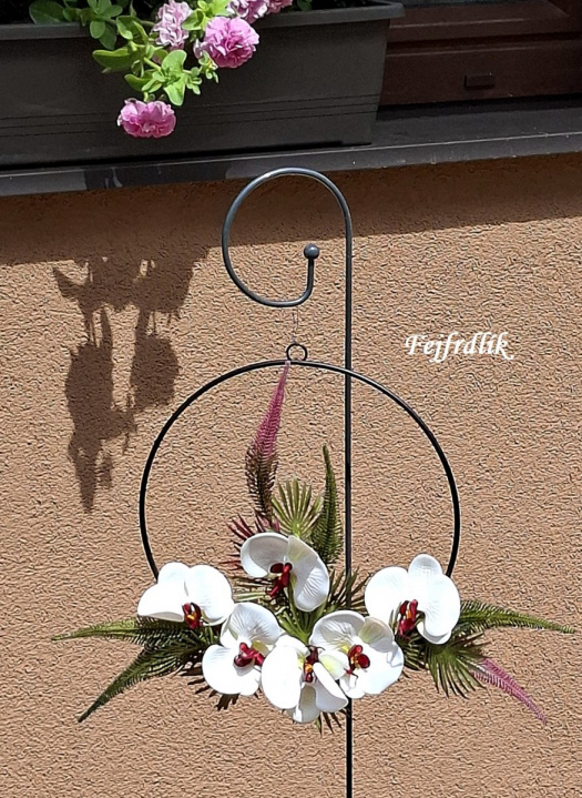 orchideje v kruhu..