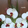 orchideje v kruhu..