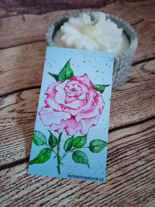 Kalendářík r.2027 - Růže