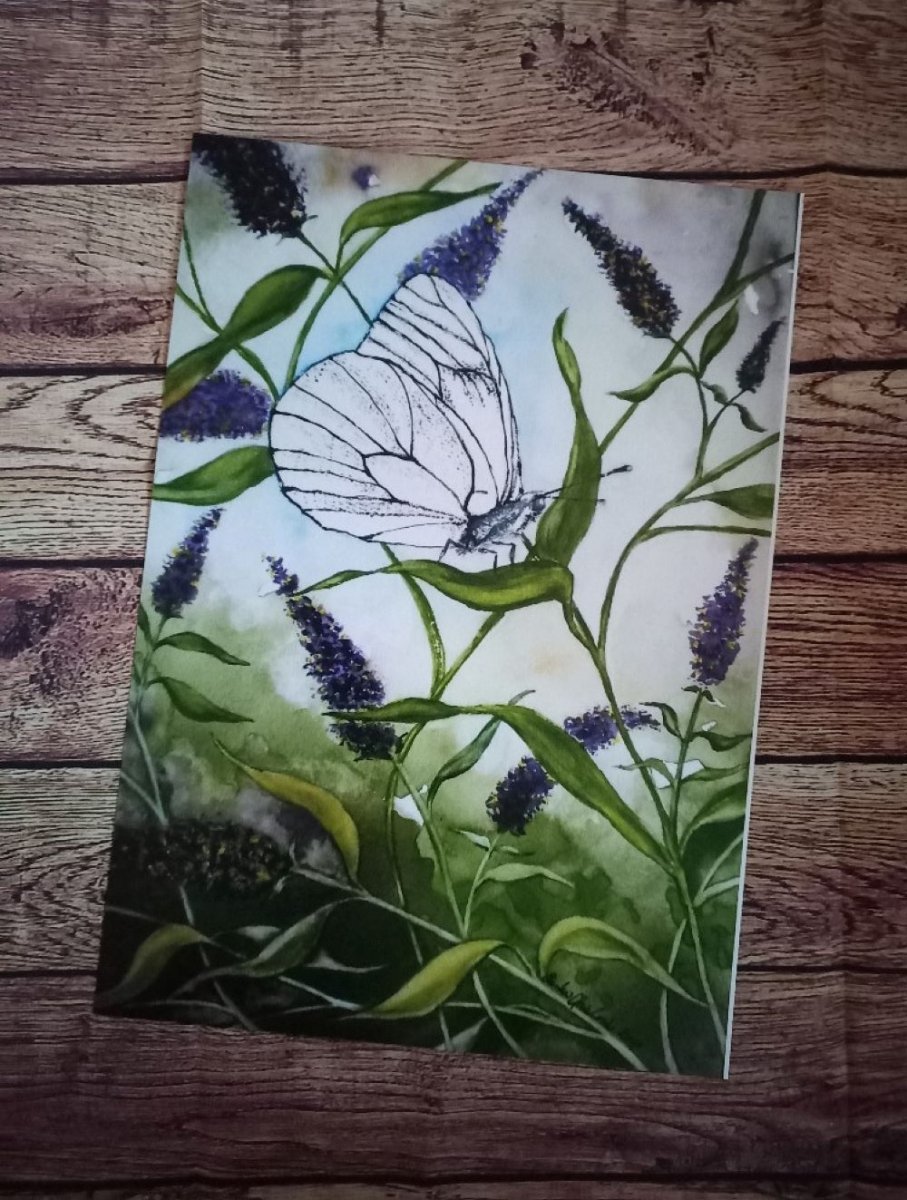 Obraz Bělásek (reprodukce)
