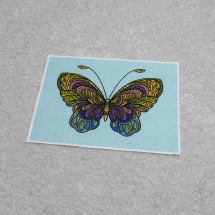 Bavlněný panel s motýlem - barevný