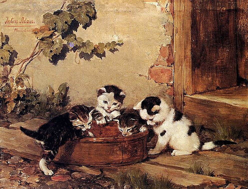 Bavlněný panel R2222