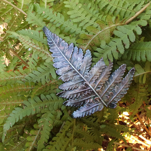 Spona pro lesní vílu