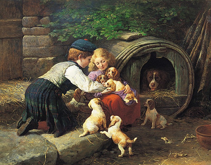 Bavlněná látka - panel R2277