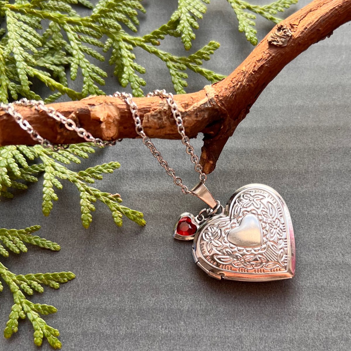 Medailonek s červeným zirkonem - S.Steel