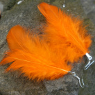 Peří - oranžové
