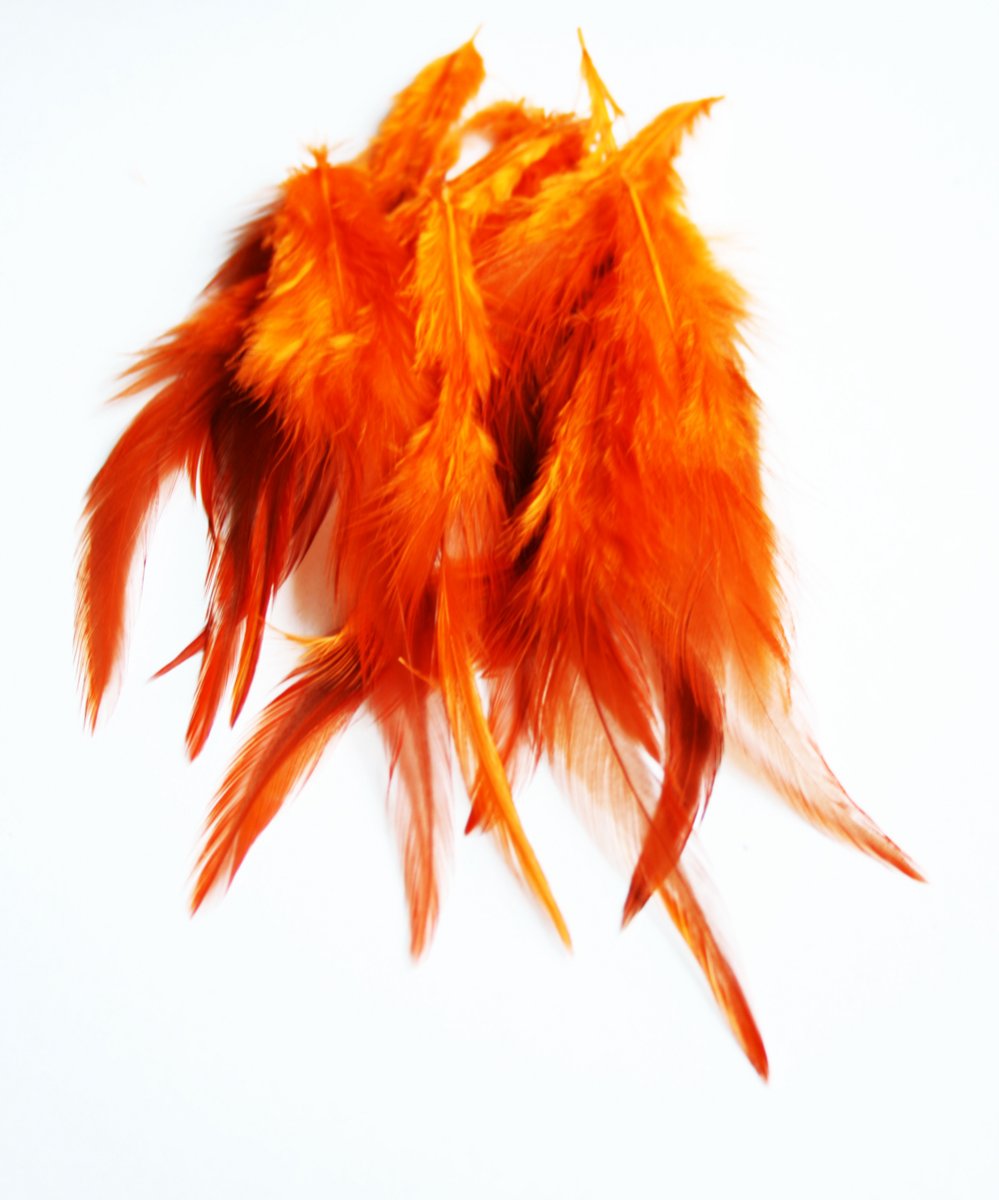 Kohoutí pírka ORANŽOVÁ