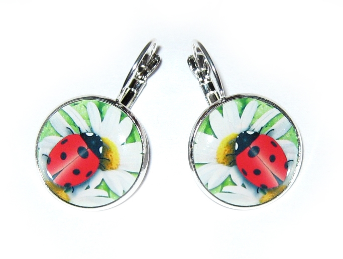 Berušky pro Berušku 