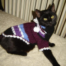 "Ája" - Pletený svetr pro pejska či kočičku :)
