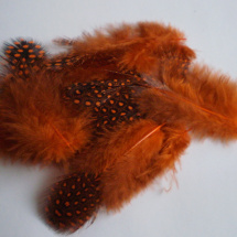 Peříčka - kropenatá oranžová 10 ks