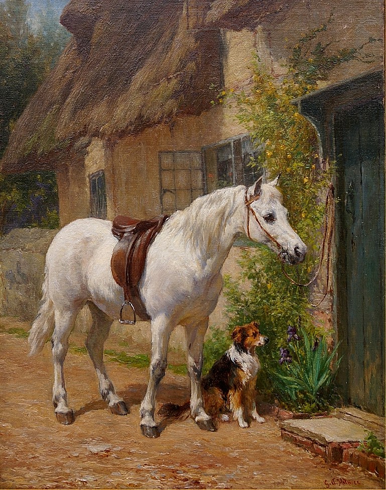 Bavlněný panel R310