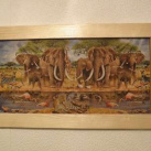 Sloní stádo