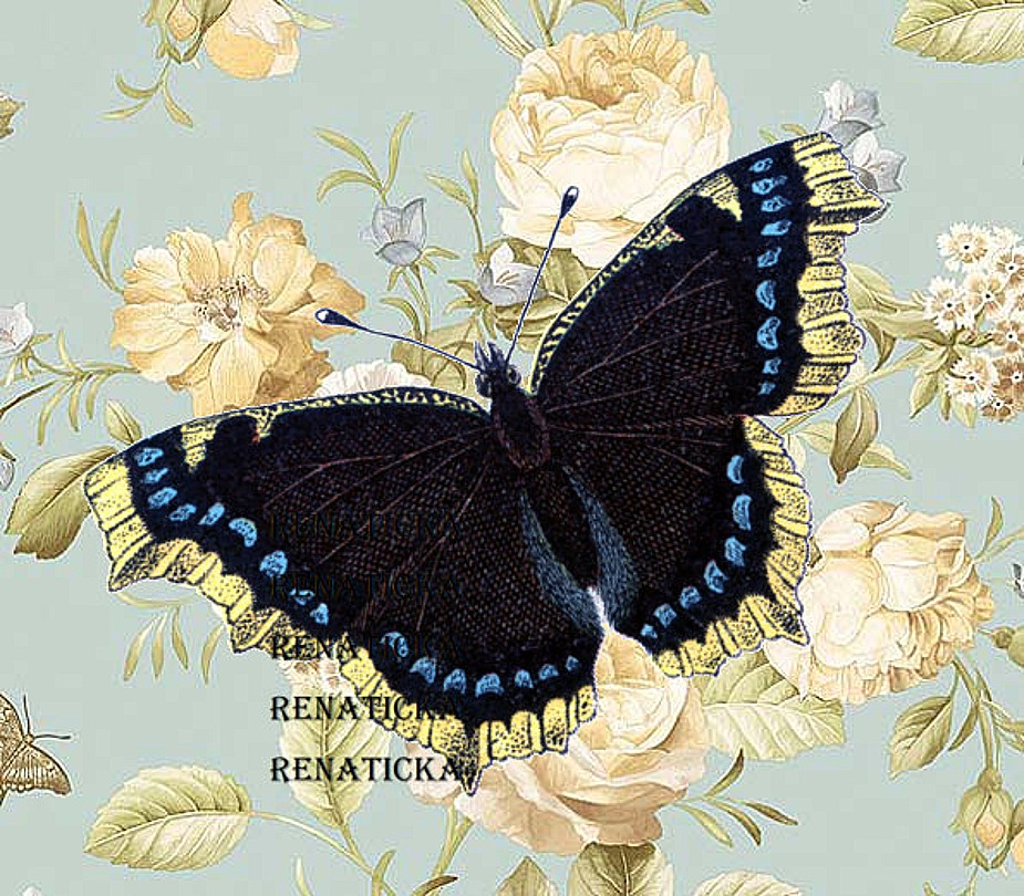 Nažehlovací obrázek V367