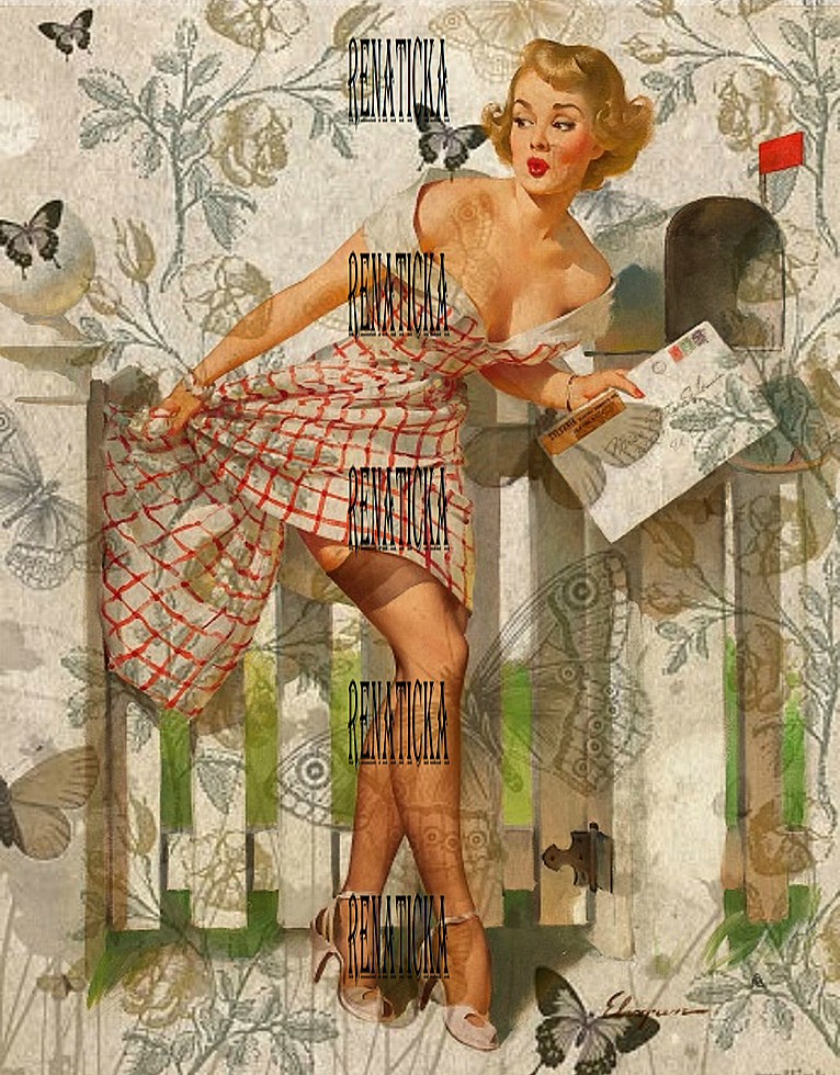 Nažehlovací obrázek V419