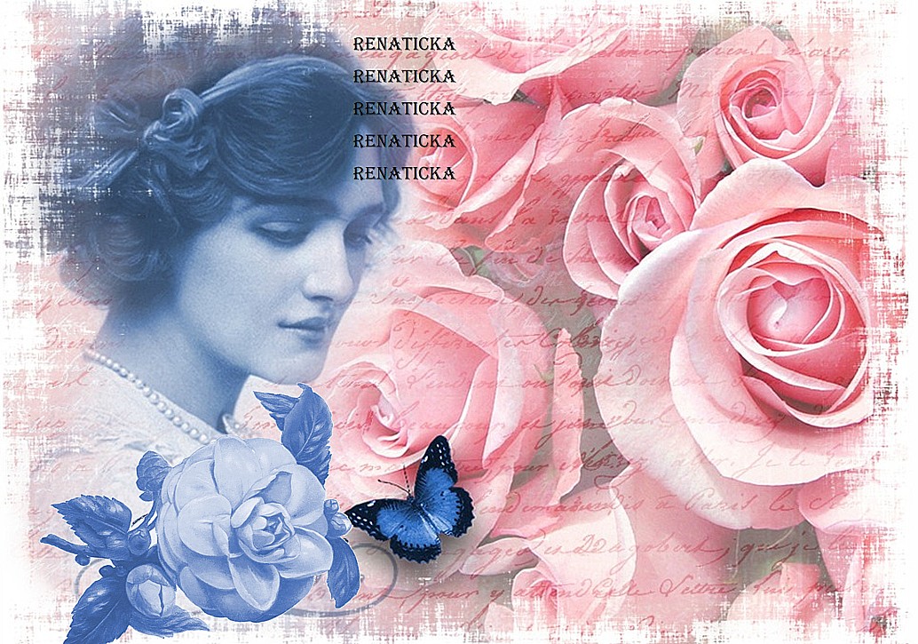 Nažehlovací obrázek V445