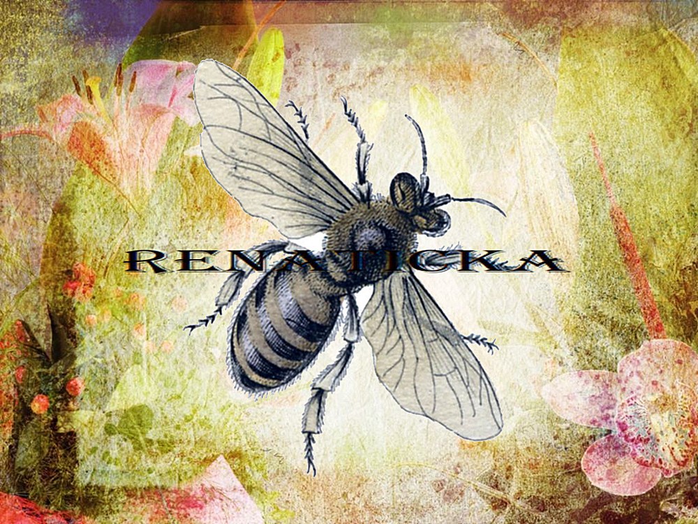 Nažehlovací obrázek V449