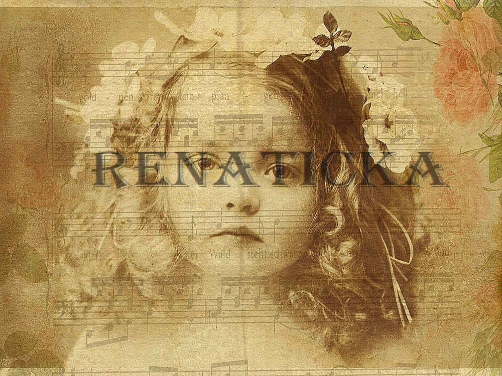 Nažehlovací obrázek V45