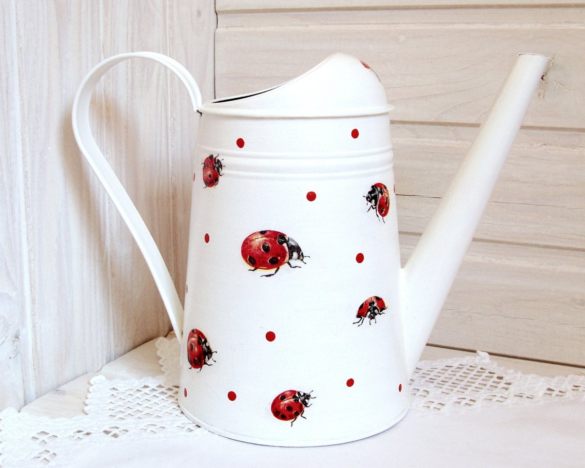 Konvička s beruškami