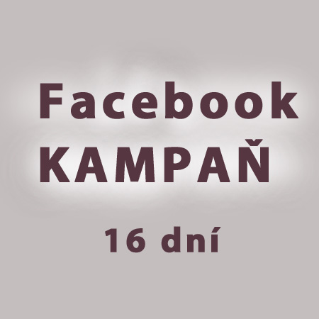 FACEBOOKOVÁ KAMPAŇ 16 dní - MAYA