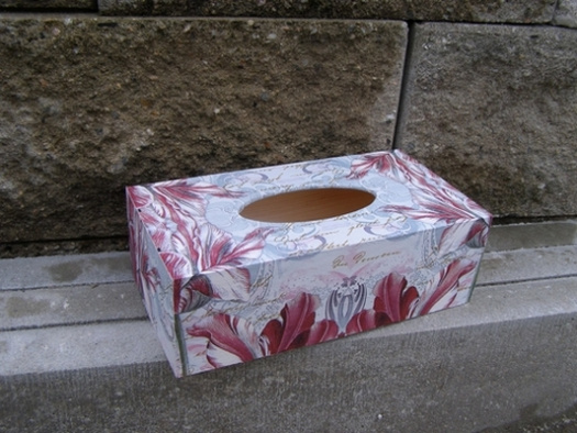 Krabice na kapesníky - Tulipány