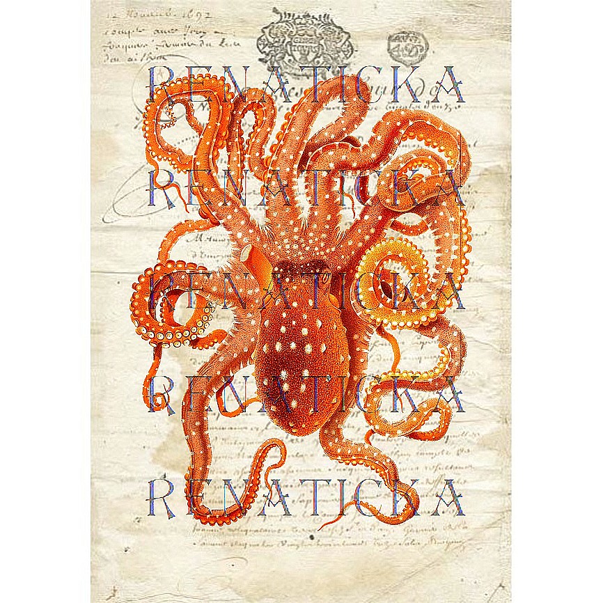 Nažehlovací obrázek V50