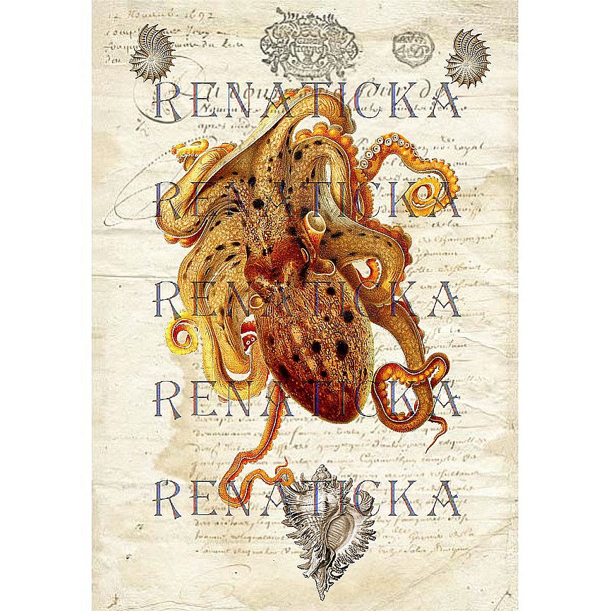 Nažehlovací obrázek V51