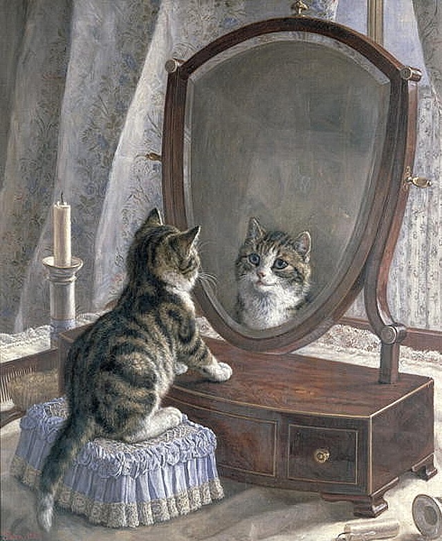 Bavlněný panel R53