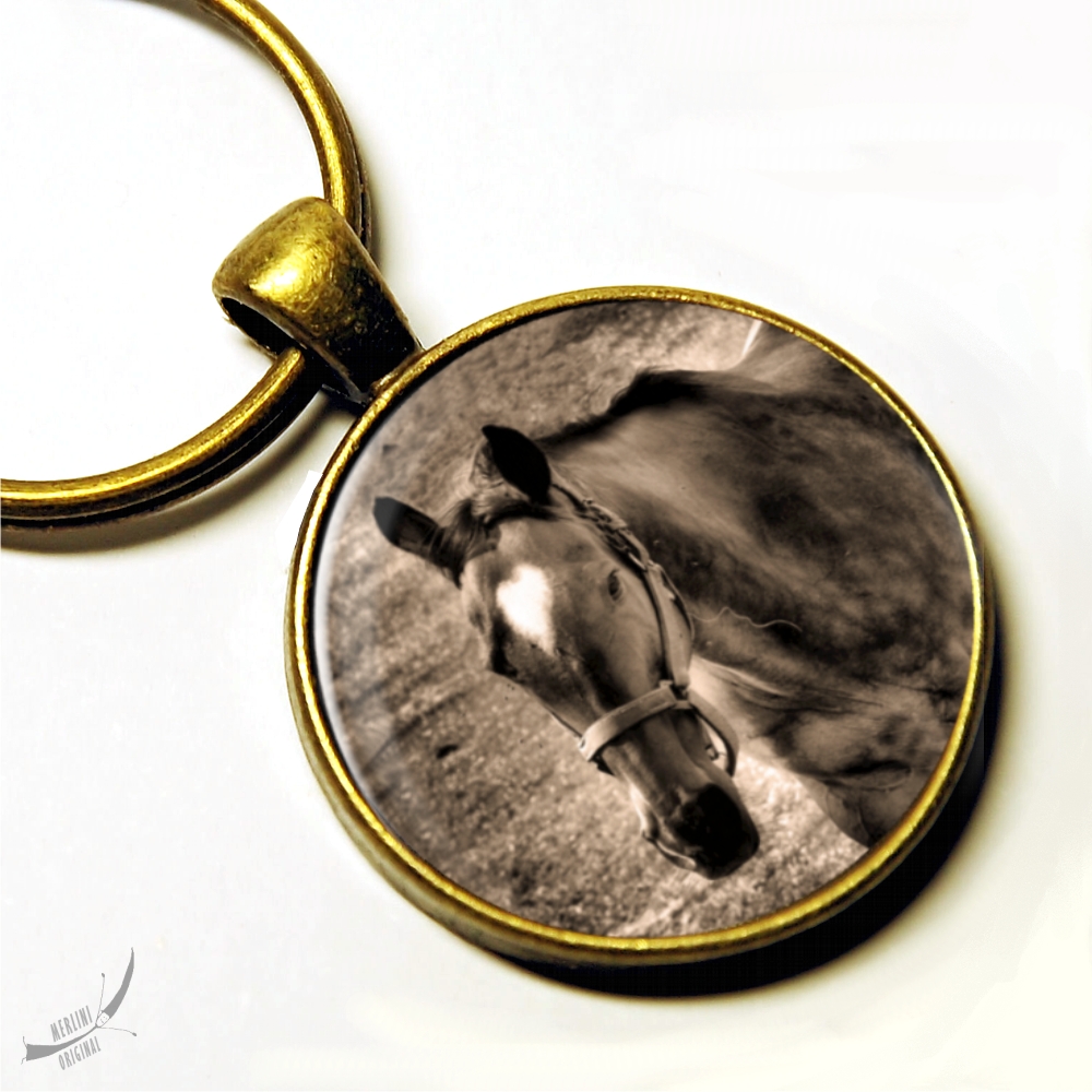 Koník z hor - na klíče, batoh ap. 