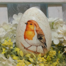 "Červenka a narcisky"